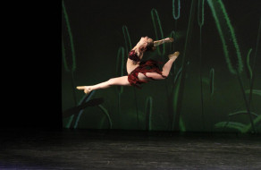 Inspiring Dance at NRG Dance Project 2013